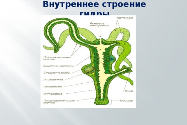 Оригинальный сайт кракен